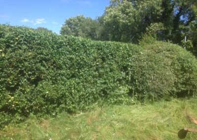 ks company facebook gallery 11