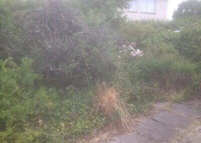 ks company facebook gallery 13