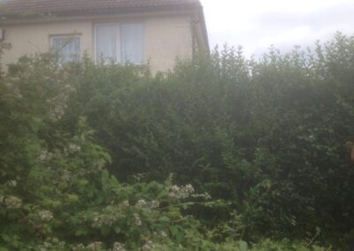 ks company facebook gallery 14