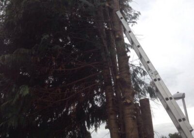 ks company facebook gallery 17