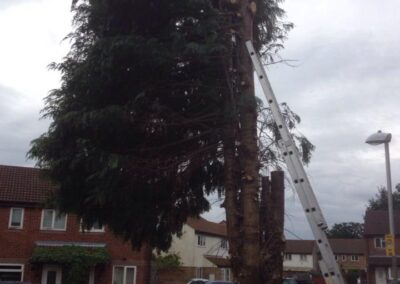 ks company facebook gallery 20