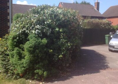 ks company facebook gallery 4