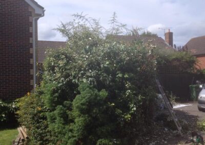 ks company facebook gallery 7