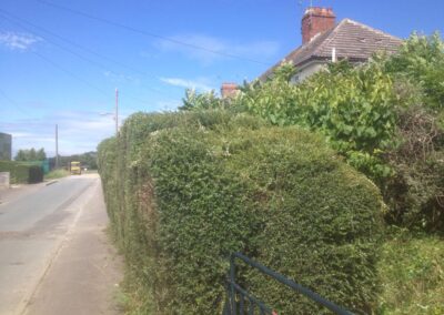 ks company facebook gallery 9