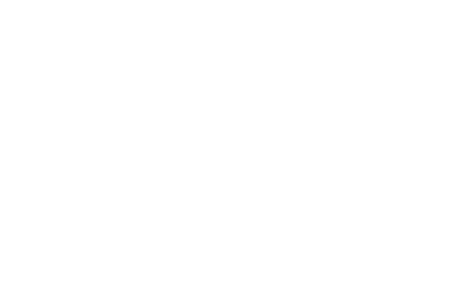 ks company logo upscaled white